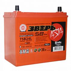АККУМУЛЯТОРНАЯ БАТАРЕЯ 58 Ач ЗВЕРЬ Asia (75B24R) п/п (600А д*ш*в 23,8*12,9*23,5 см)